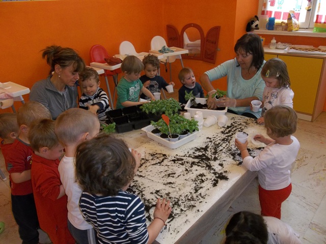 Graduatorie Servizi all'Infanzia anno scolastico 2014/2015